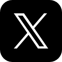 公式X